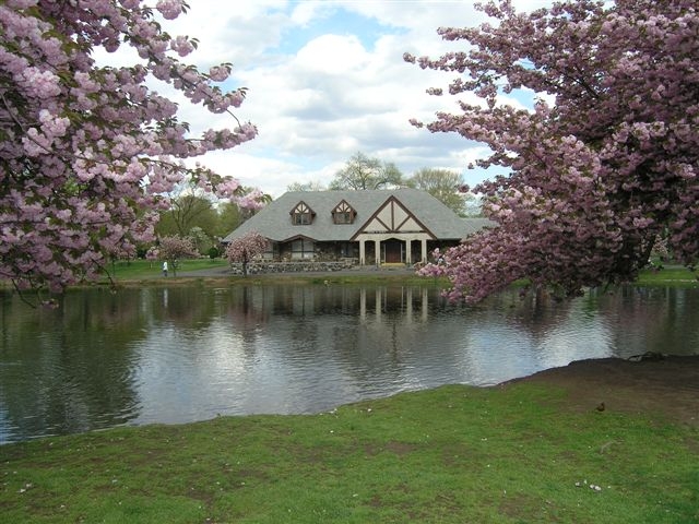 A Tudor building across the pond in spring